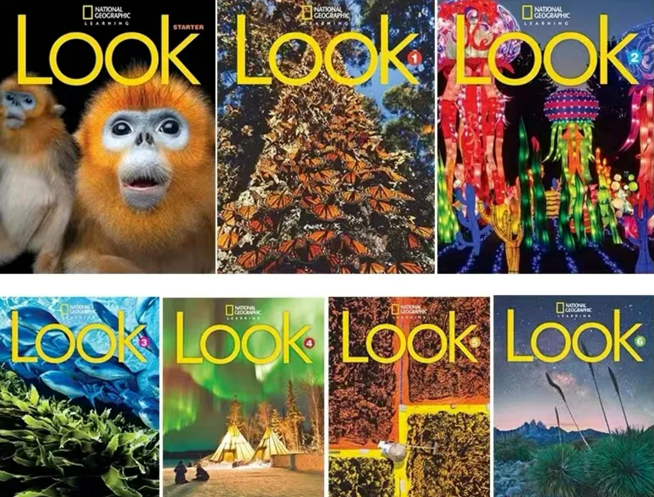 国家地理少儿综合教材Look系列